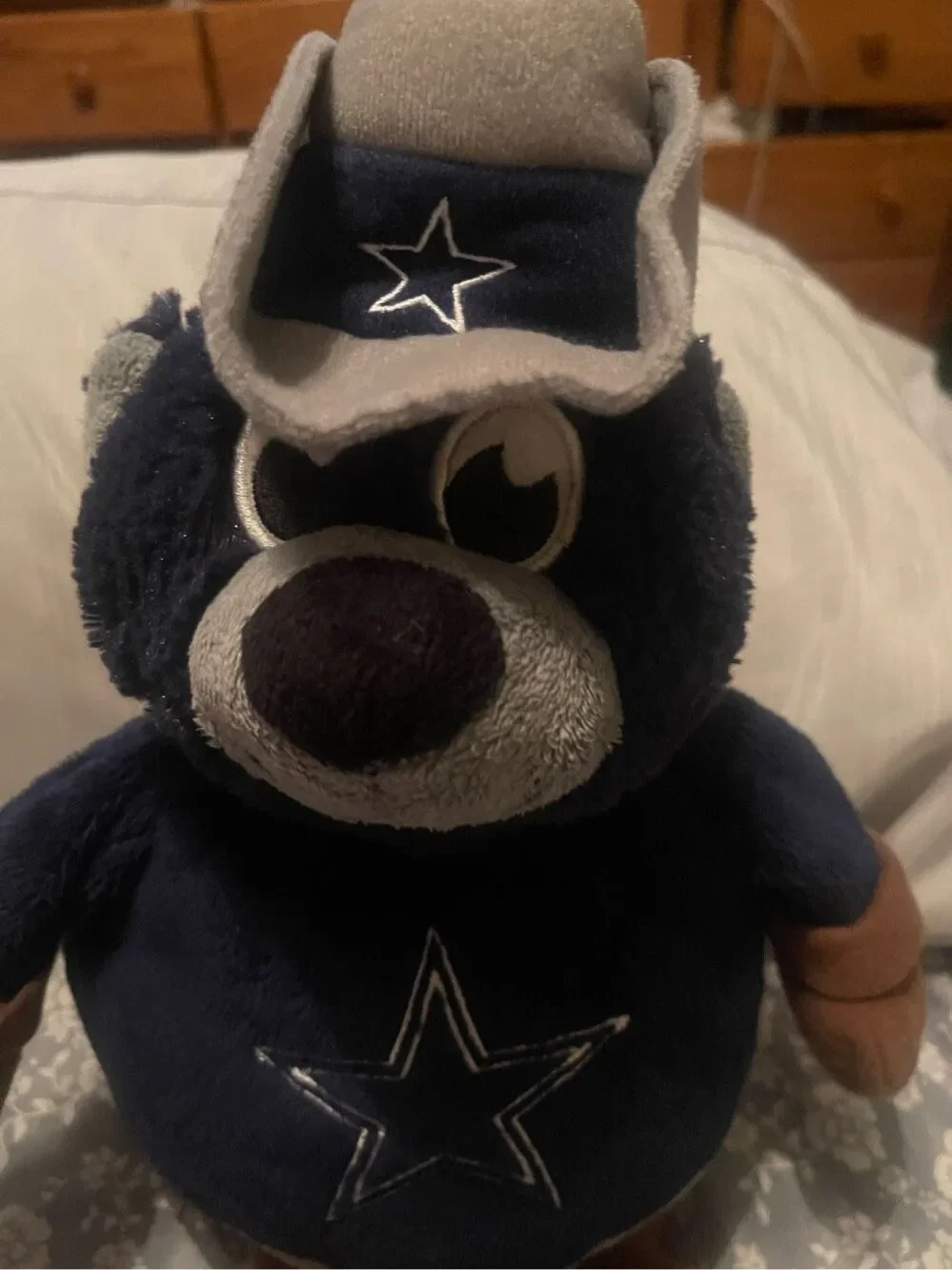 Dallas Cowboys Blue White Reversible Bear To Football 18